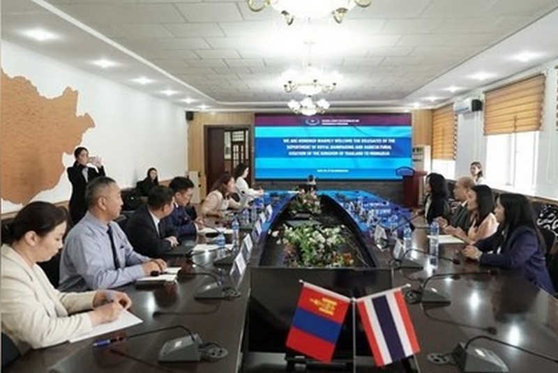 Монголия-Таиланд: сотрудничество в сфере изменения погоды