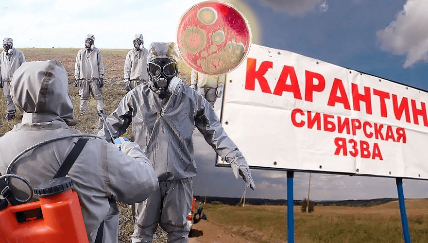 В Казахстане зарегистрирована очередная вспышка сибирской язвы